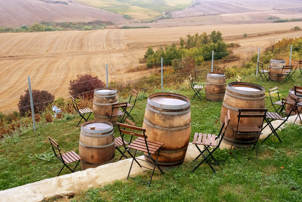 Cele mai bune locuri pentru degustări de vinuri în Italia rurală